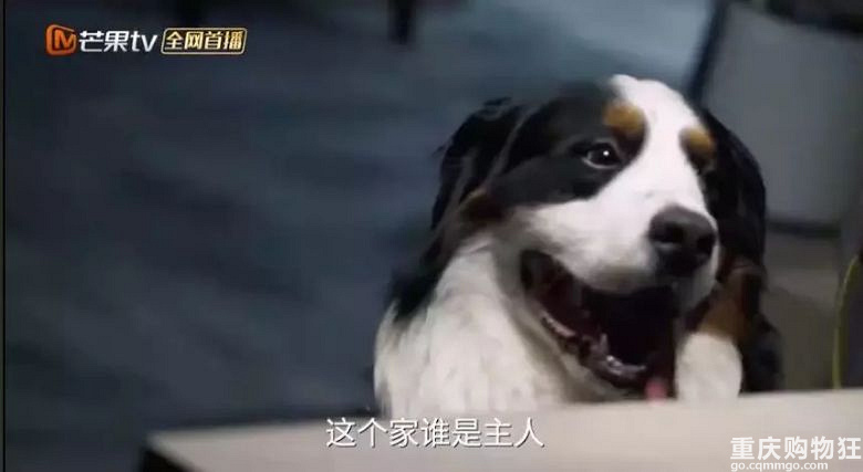 刘烨这个《老男孩》可让你家儿子省省心吧!