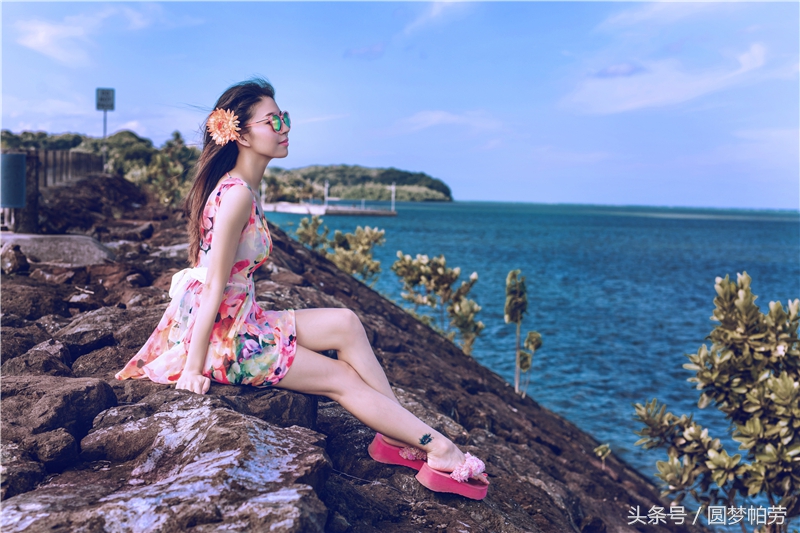 去帕劳旅游自由行行程,帕劳旅游景区行程