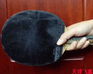 乒乓球系统训练计划明细表,乒乓球基础教练教学书籍