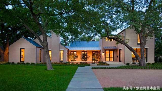 浣宠瘹鐩涘畨鍥灄缁垮寲,浣宠瘹鐩涘畨鍥灄缁垮寲宸ョ▼