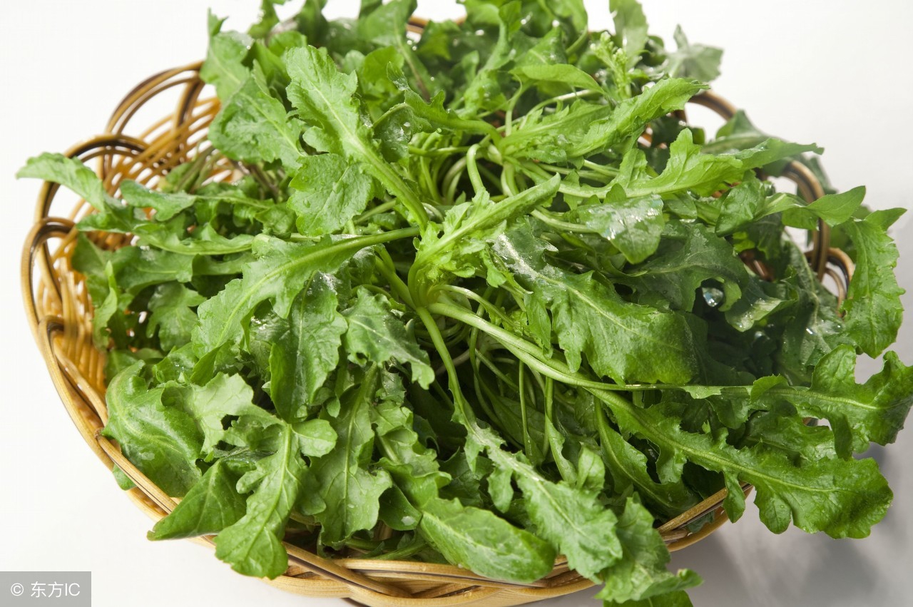 降低三高的野菜,防三高野菜有哪些