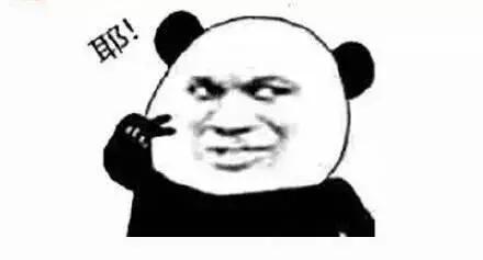 厉害!少女和高利贷老头比个酒就能赢得一只“小奶狗”