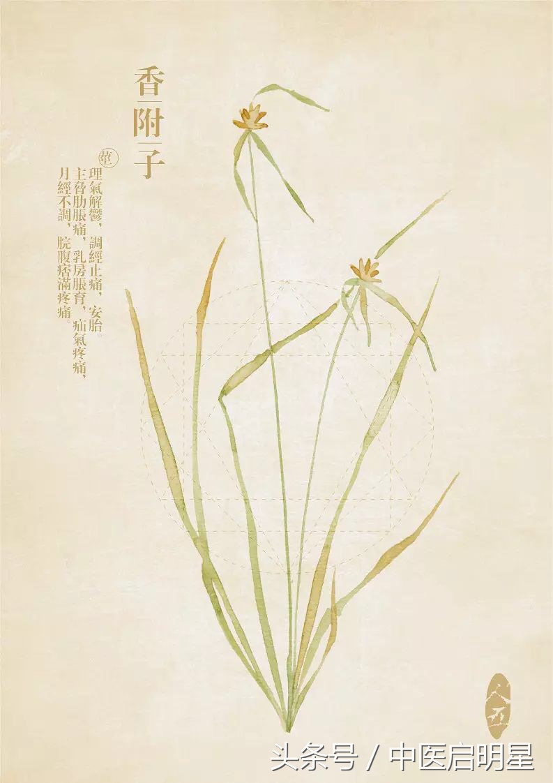 中医如何治疗胆汁反流性胃炎,胆汁反流食管炎中药好还是西药好