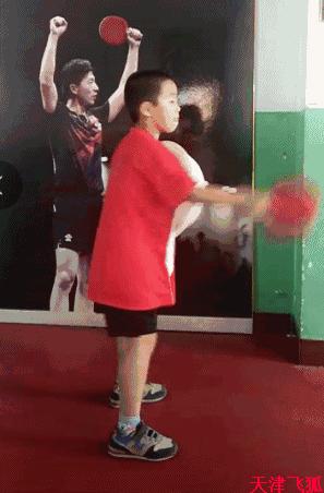 乒乓球训练教材,乒乓球系统训练计划明细表