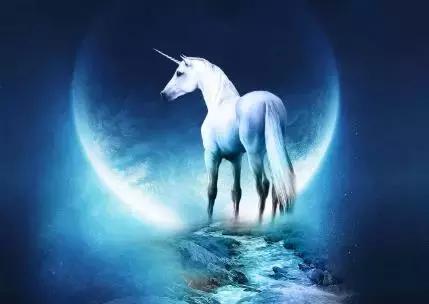 最新独角兽概念股一览表,独角兽股票的走势