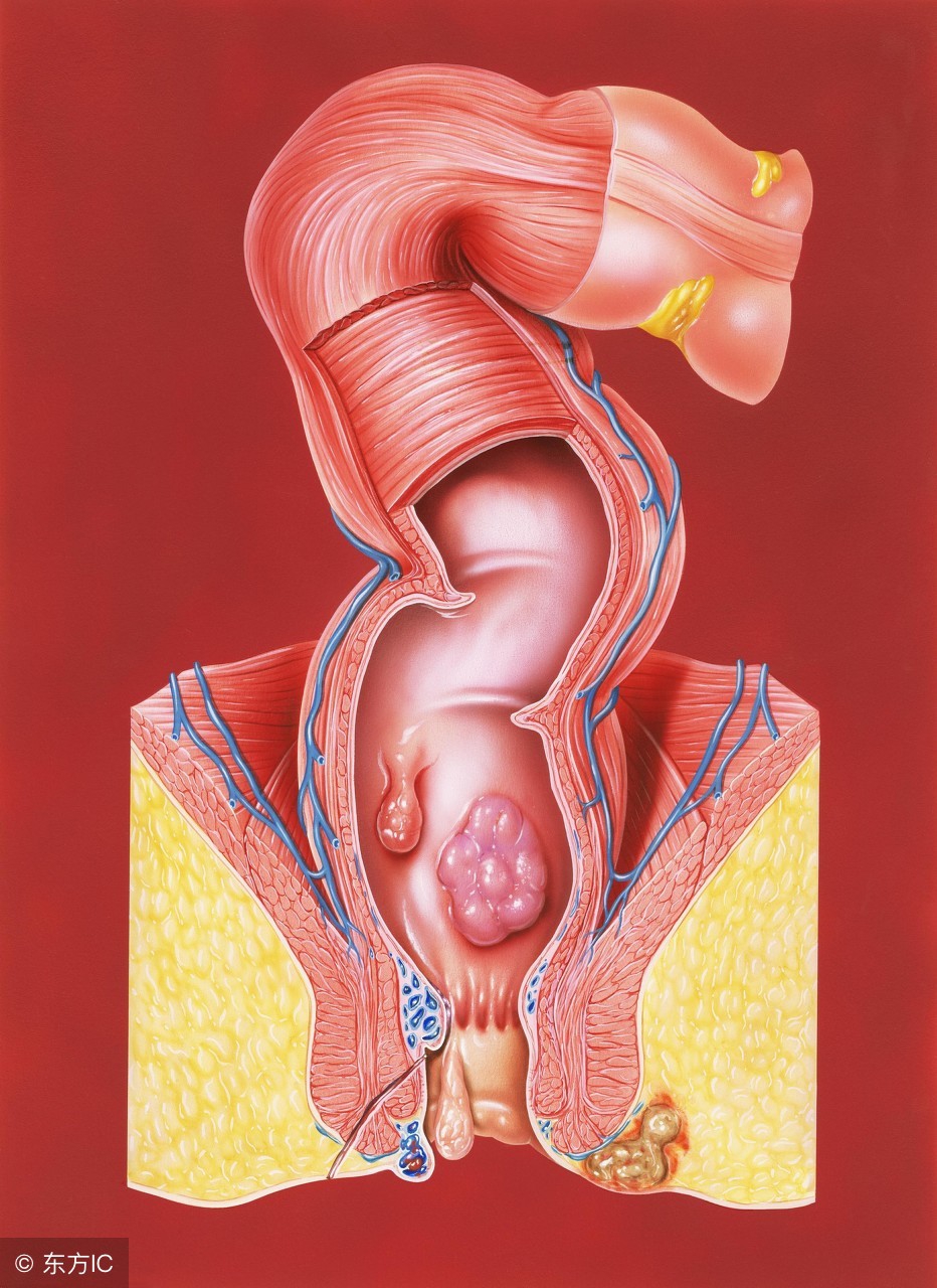 孕期常见几种症状及处理