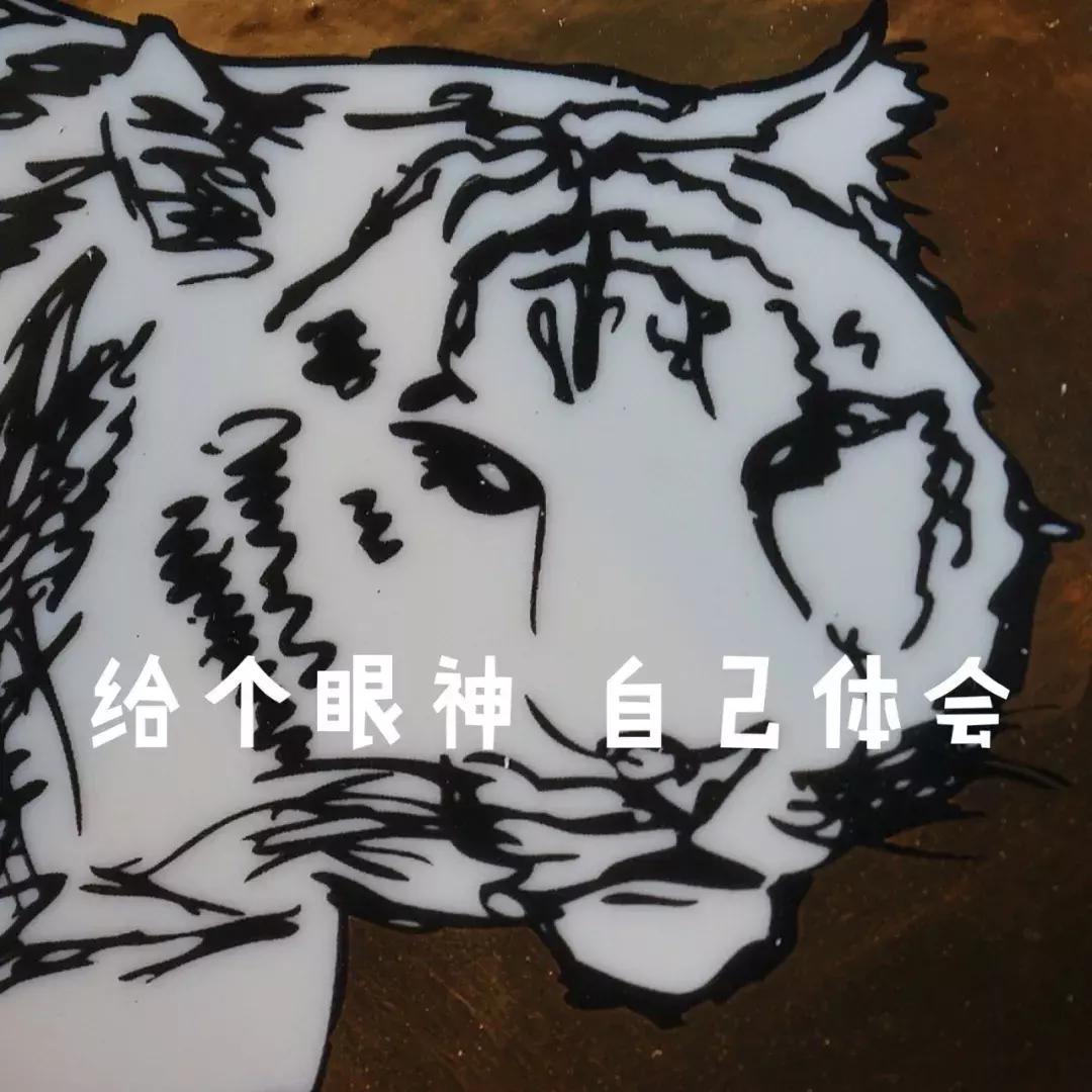 喝水选择自己喜欢的杯子,选择喝水的杯子