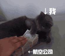 留学生怎么买飞机票最便宜,留学生出国机票哪里订最便宜