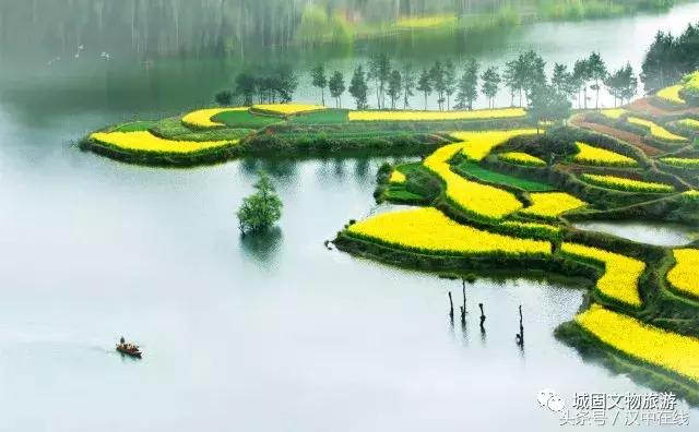 万物复苏春暖花开适合去玩的地方,花开的季节大家快来看风景
