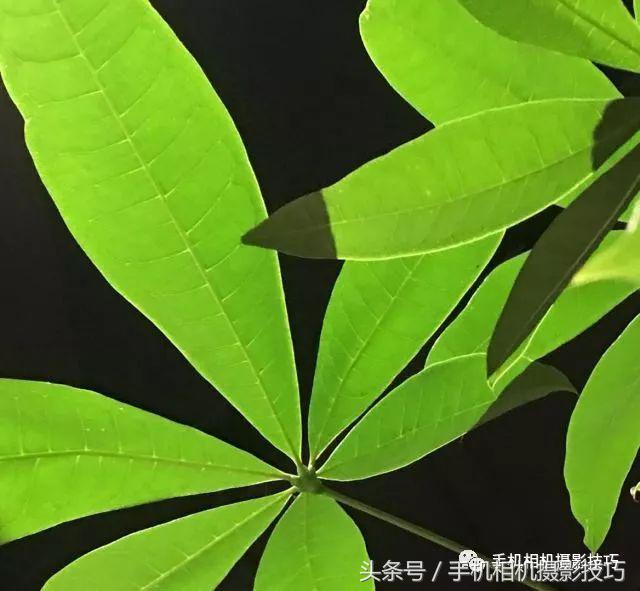 普通人如何拍出好看的照片,拍出风光好照片的30个基本功