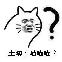 美国留学鄙视链,留学圈鄙视链美国