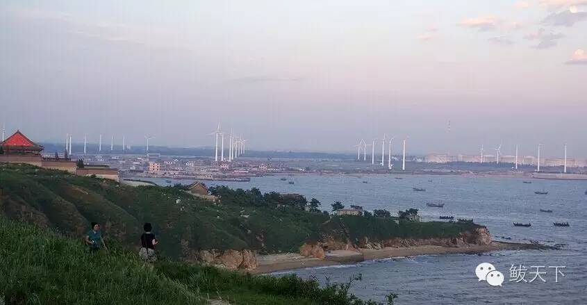 鲅鱼圈旅游景点都有什么,鲅鱼圈旅游景点攻略大全