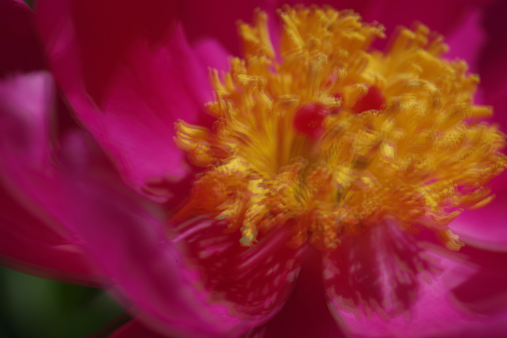 宾得k-01是全画幅吗,宾得全画幅镜头100-3000