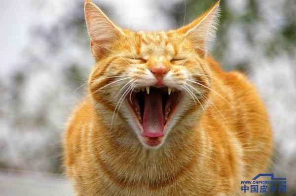 六月去哪HIGH?相约乌海金沙湾！