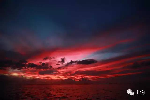 在荒蛮的世界尽头追猎“怪物”