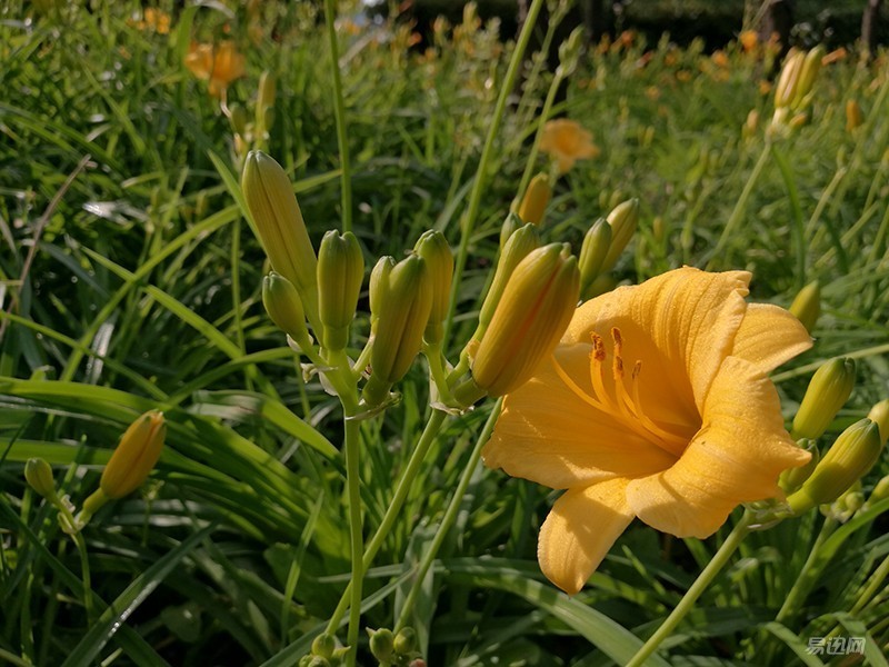 荣耀v8特色,荣耀v8是旗舰版吗