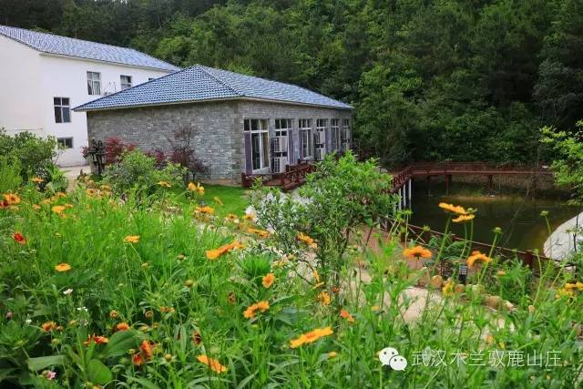 友谊的小船翻了就是翻了,友谊的小船翻了的视频