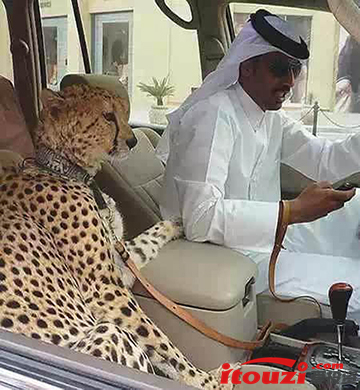 遍地土豪的迪拜,土豪遍地的迪拜