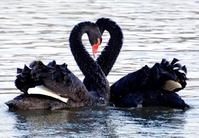 武汉旅游攻略最佳线路推荐一下,武汉沿地铁线有哪些好玩的地方