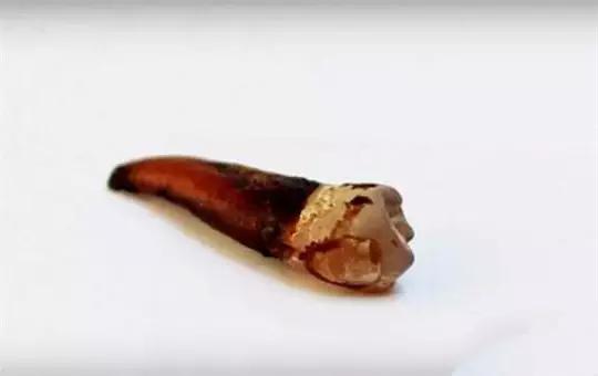 记住这5个关键数字预防骨质疏松,记住这11个秘方健康活过100岁