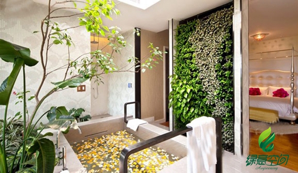 植物墙的十大功能,植物墙设计需要注意什么