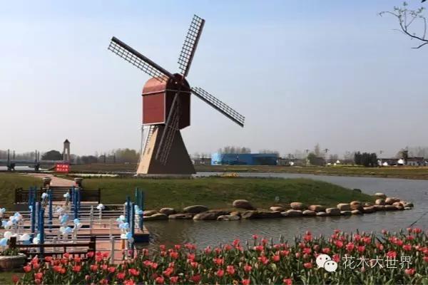 花海的盈利模式,花海经济效益