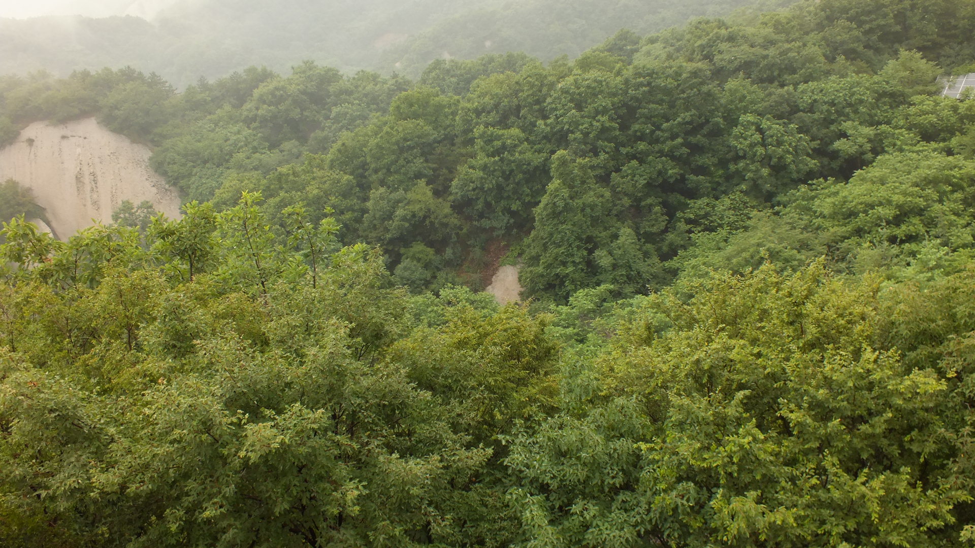 雨中的长白山美景描写,雨中天池