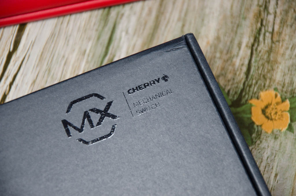 入门黑轴红轴机械键盘,机械键盘可能正在毁掉你的手腕