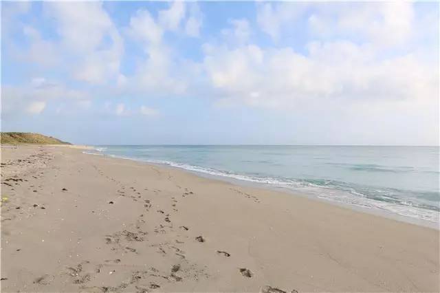 棕榈滩美景,棕榈滩沙滩