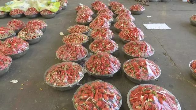 「消费那些事儿」市场上鲜嫩可口的草莓真的安全吗？不检测不知道，一检测……