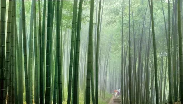 赤水一日游真实感受,感受赤水河