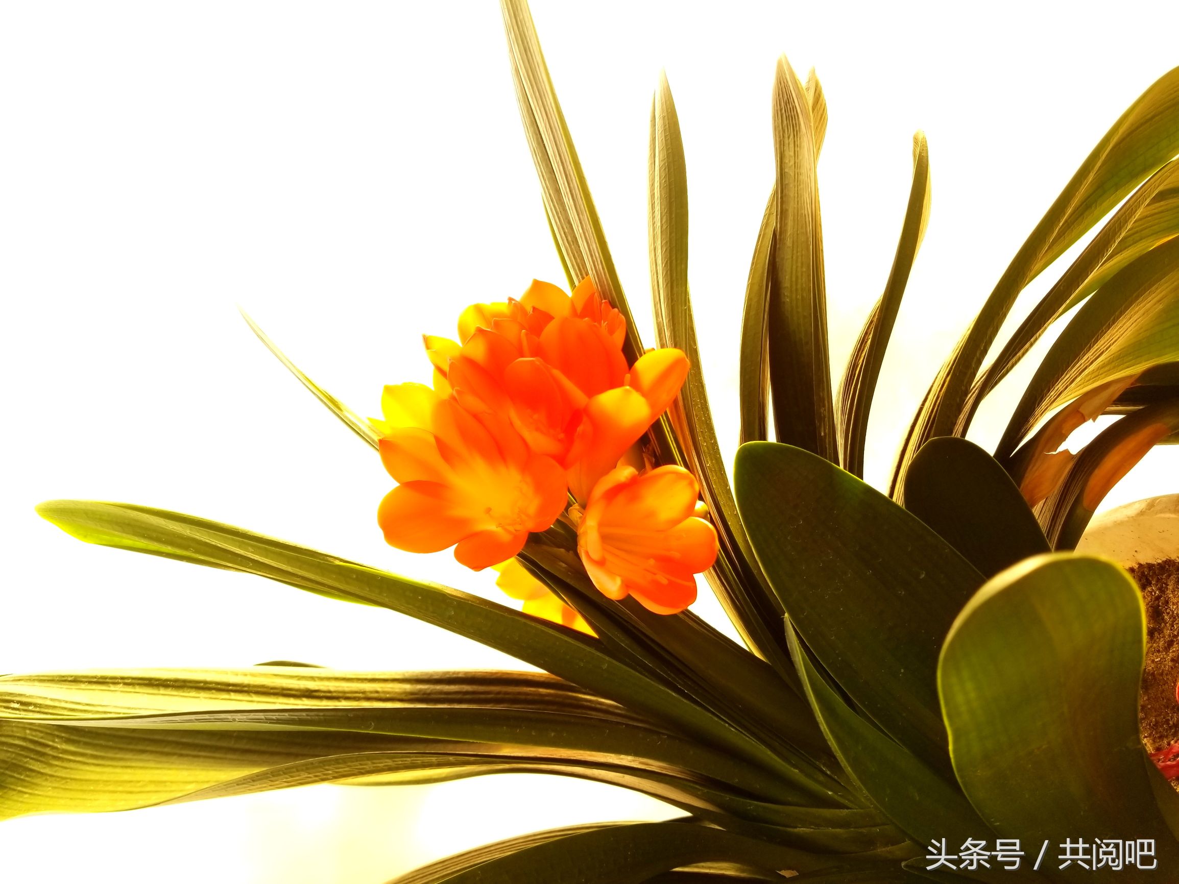 心理学读心术唤醒内心深处的自己,读心术的20个道理