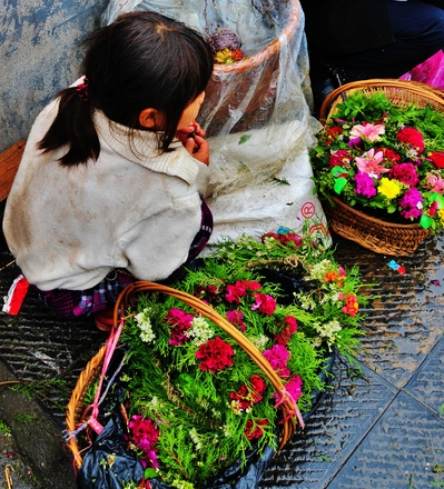 温暖的庇佑[文心-诗思-情怀]