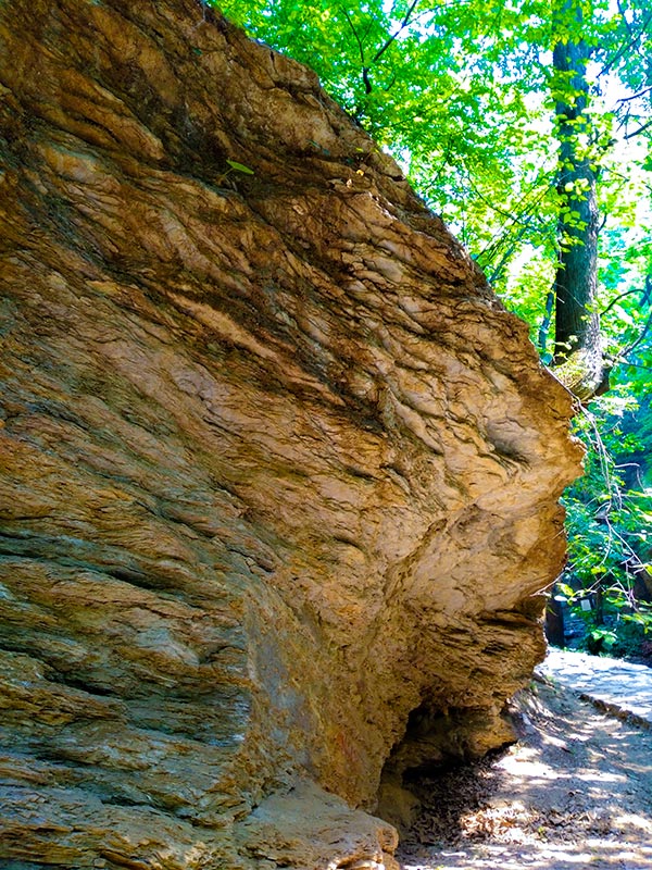 上方山森林动物世界游记,上方山动物园游记四年级