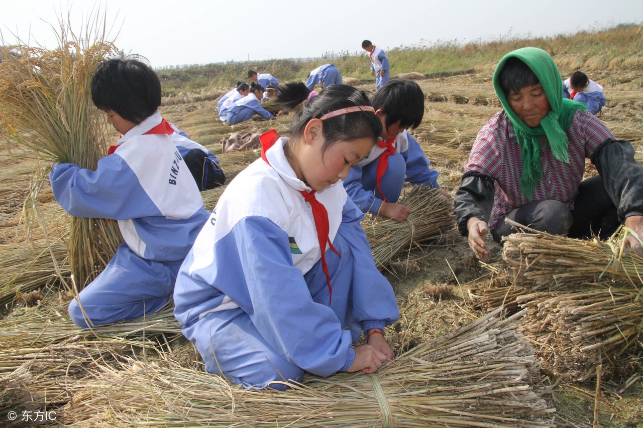 田园模式休闲农庄,休闲农业与休闲农庄的关系