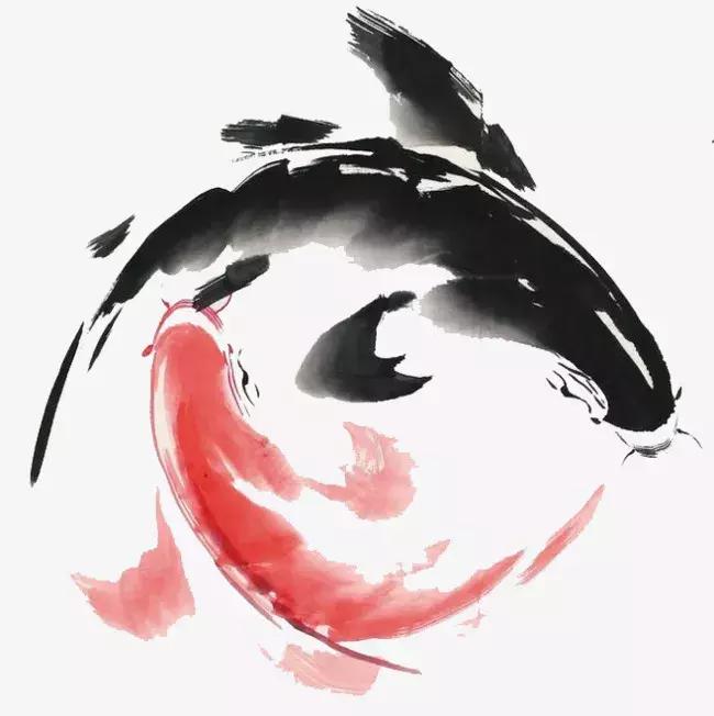 为不同心衰患者“量身定制”的食疗方