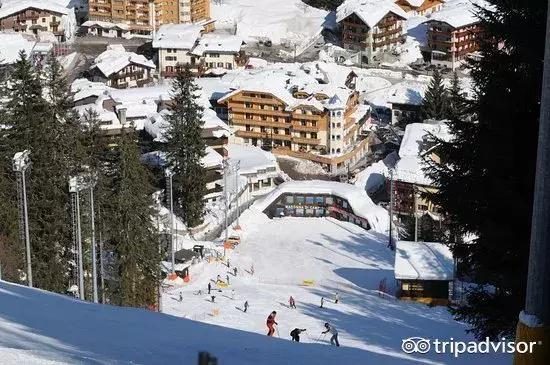 猫头鹰酒店排名,猫头鹰十大排名