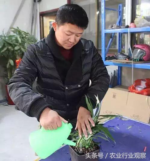 卖盆景一年挣多少钱,没有商业头脑的男人