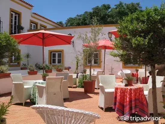 猫头鹰酒店排名,猫头鹰十大排名