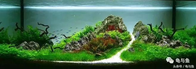 计量单位科普,水族科普视频