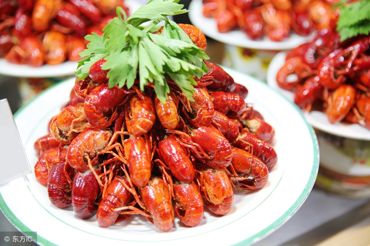 每天一个历史冷知识,每天一个冷知识国家