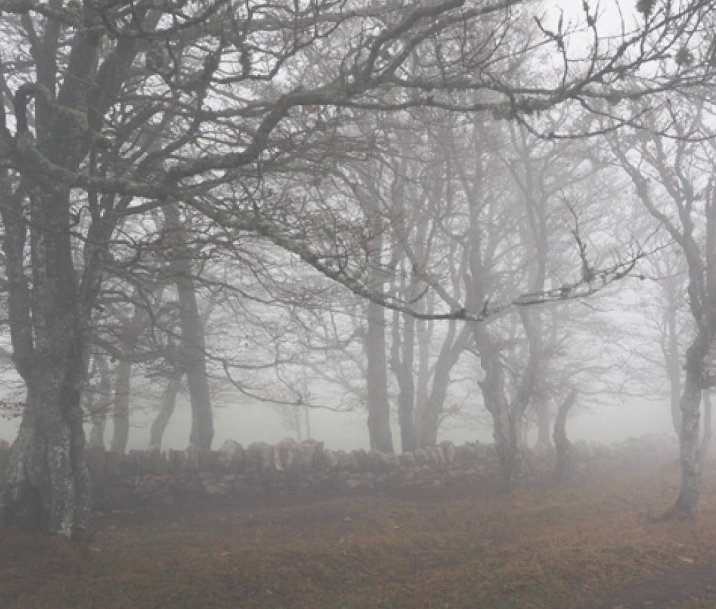 雾蒙蒙照片怎么处理,照片去雾技巧