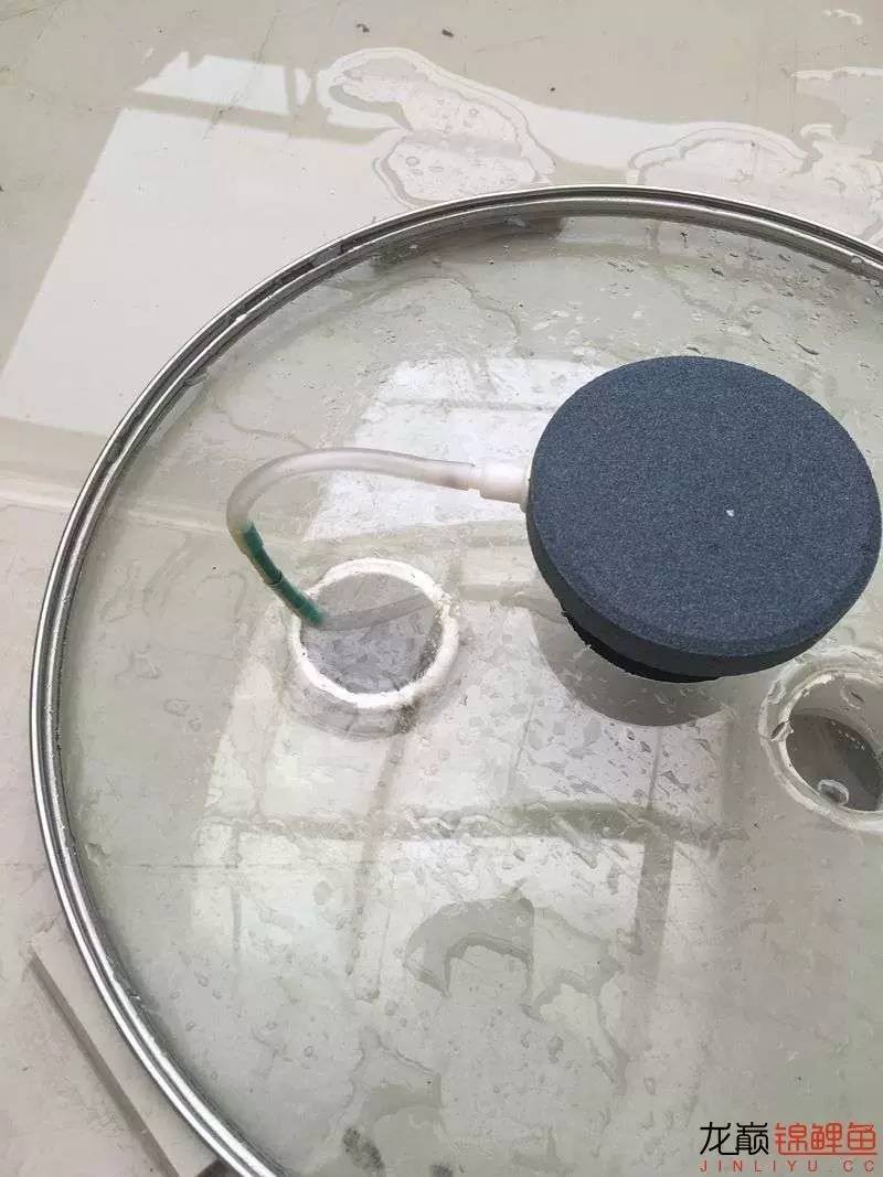 pp塑料锦鲤池,pp板材焊锦鲤池