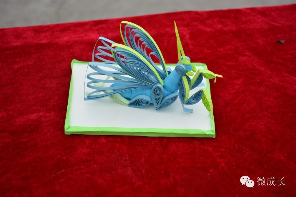 校园今天是个好日子,校园的今天