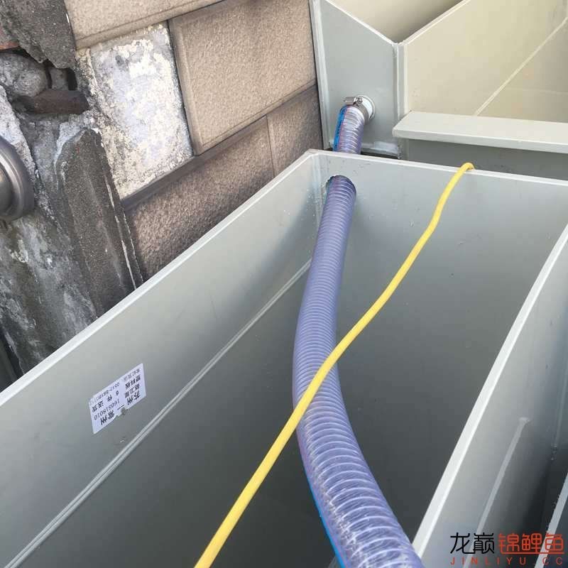 pp塑料锦鲤池,pp板材焊锦鲤池