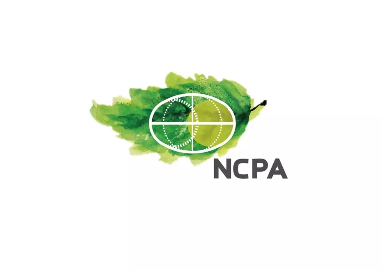 传统与现代结合的生活,让传统留在现代