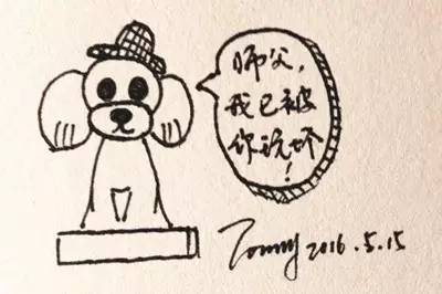 泰迪装修剪：耳朵放下来脸就变形怎么办？