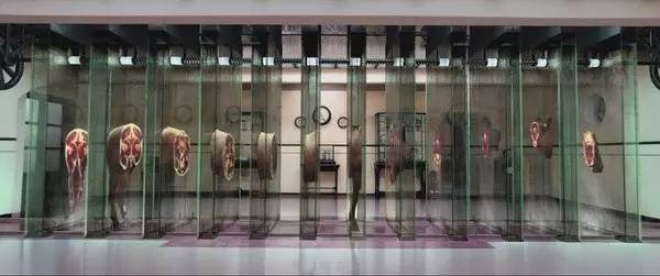 视觉盛宴体验爱丽丝梦游仙境,爱丽丝梦游仙境一个美丽的画面