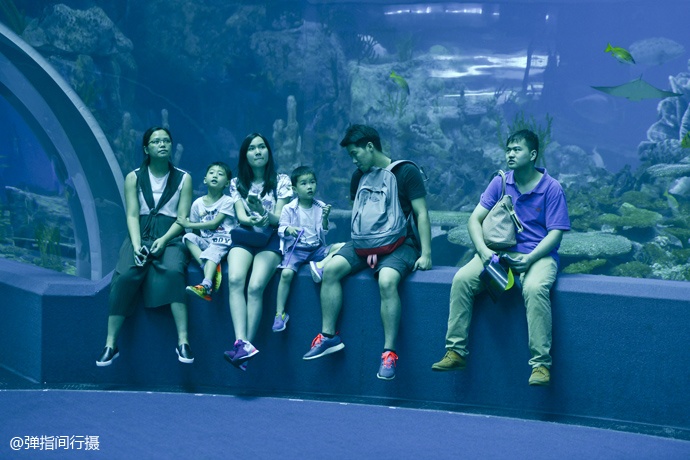 珠海长隆旅游攻略和住宿,珠海长隆周末有什么活动