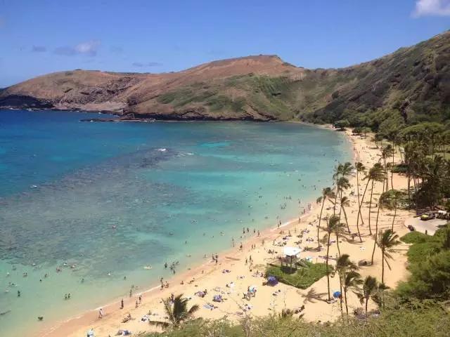 夏威夷和周冬雨,余文乐周冬雨夏威夷